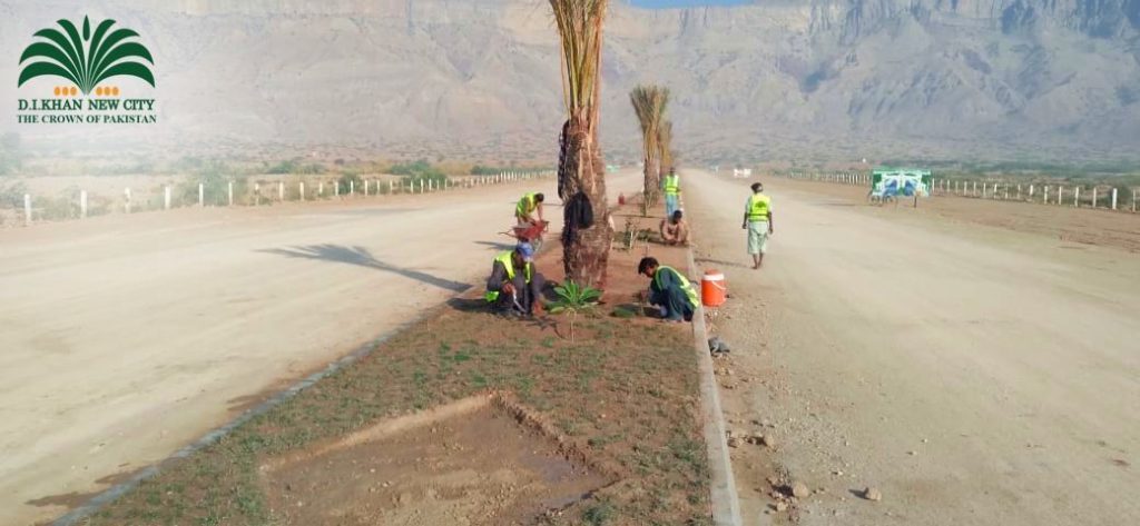 Planting trees all around D.I. new city