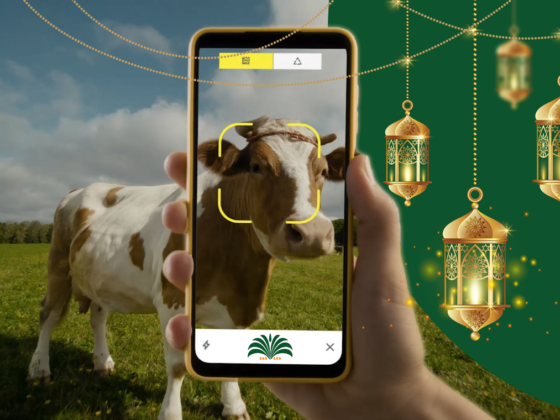 5 Best Online Qurbani Websites in Pakistan