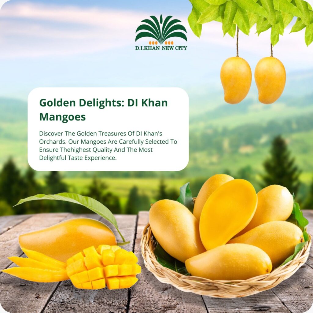 Discovering the Golden Mangoes of Dera Ismail Khan