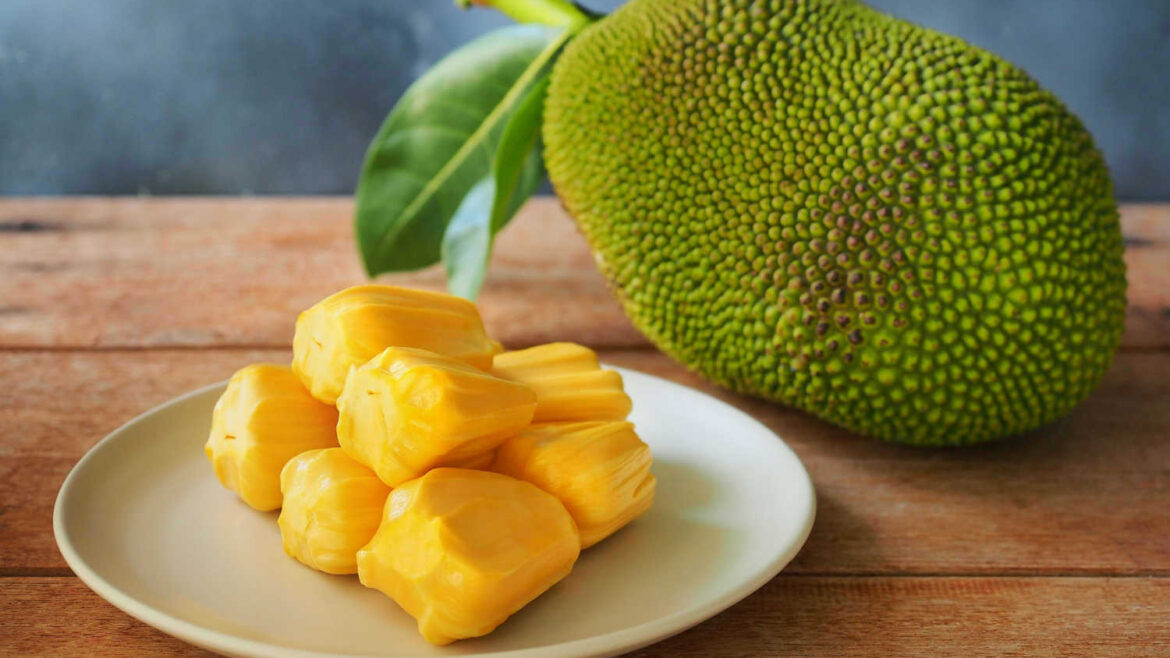 Sindh Becomes First Province to Cultivate Jackfruit in Pakistan