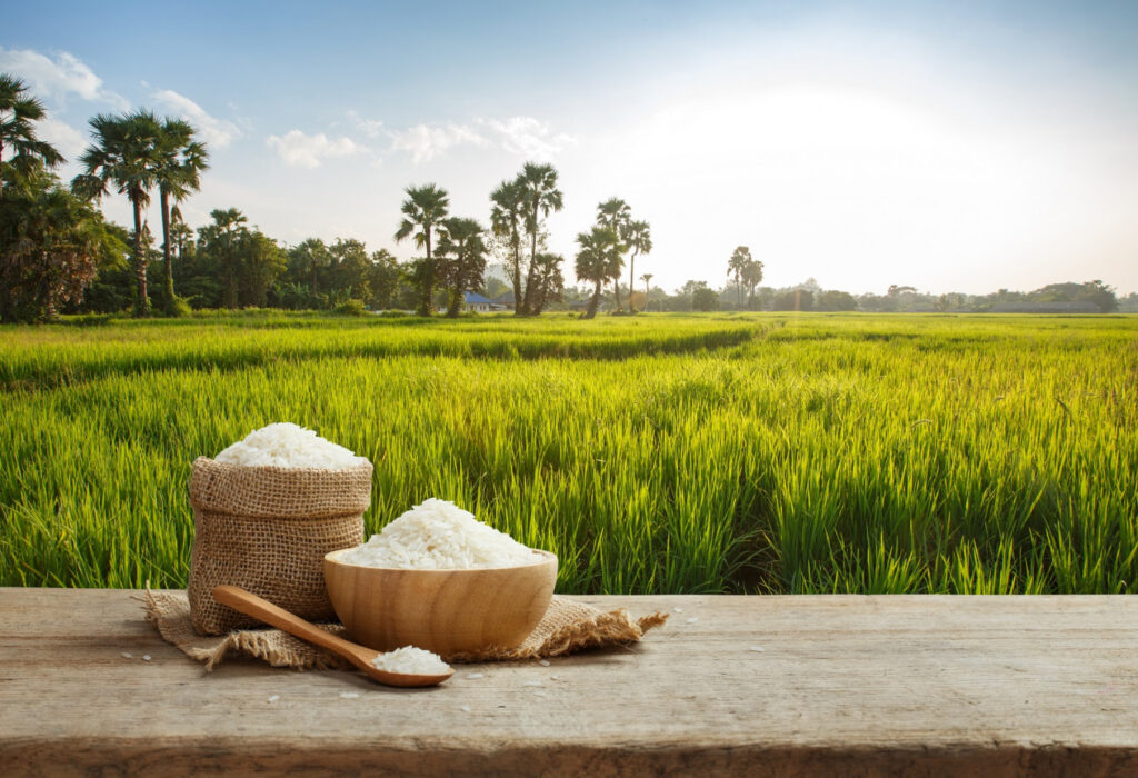 Pakistan Achieves Record-Breaking $4 Billion in Rice Exports in 2024