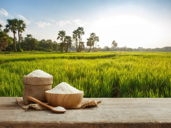 Pakistan Achieves Record-Breaking $4 Billion in Rice Exports in 2024